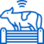 rgss